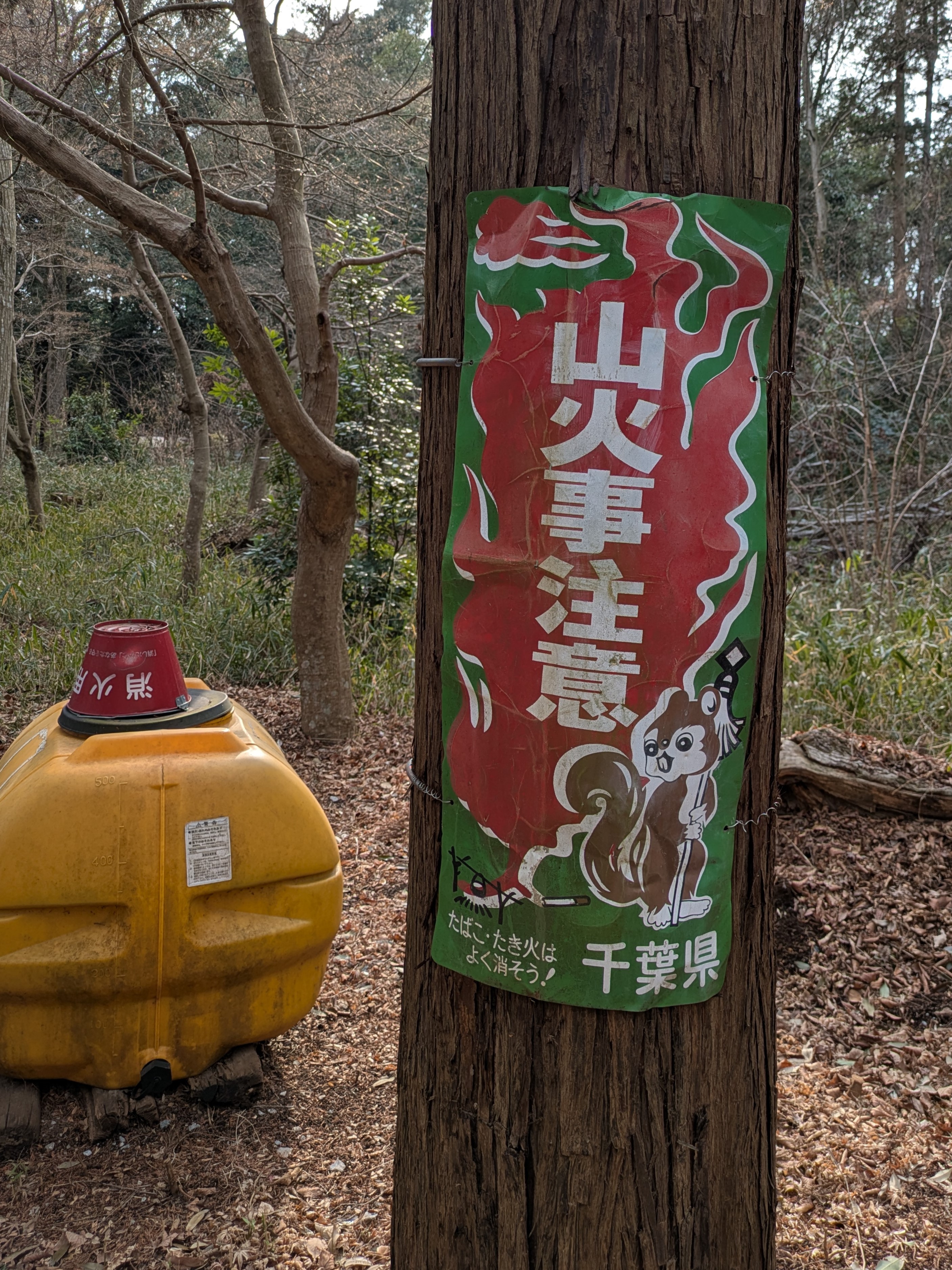 まといリス