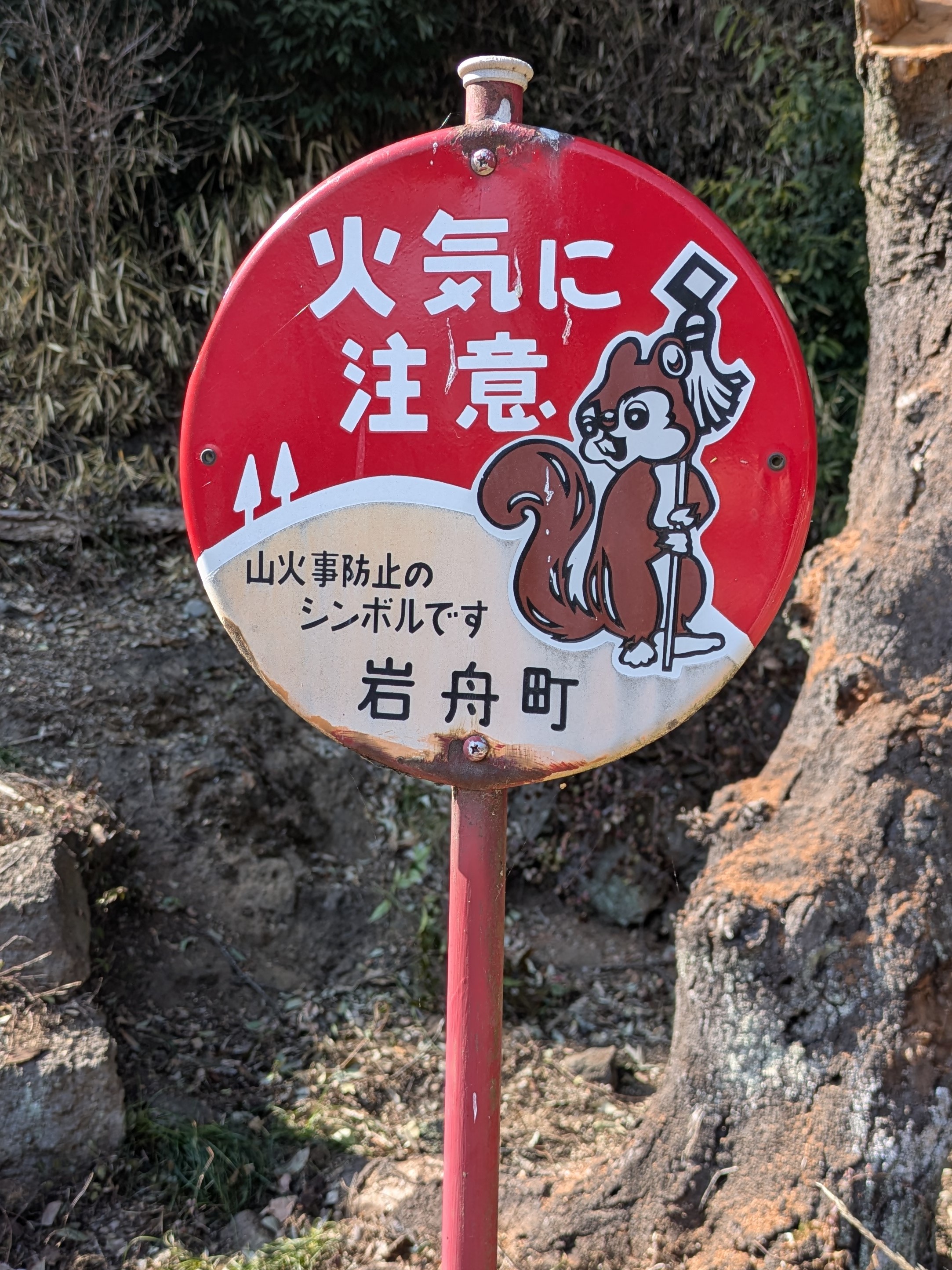 まといリス