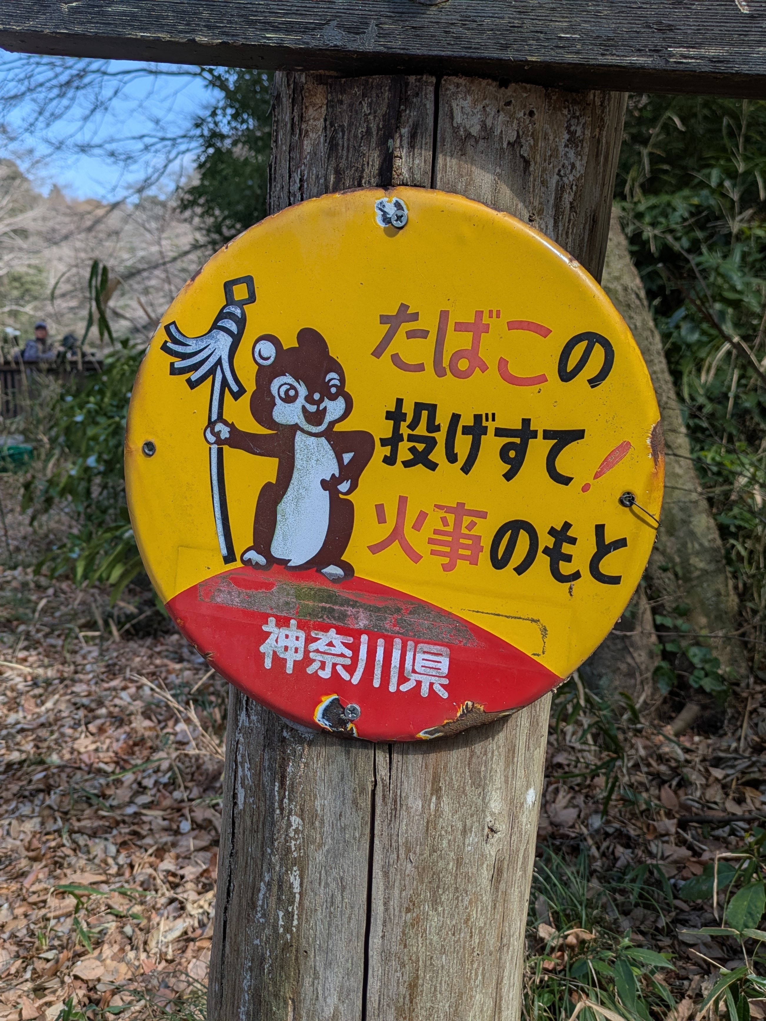まといリス
