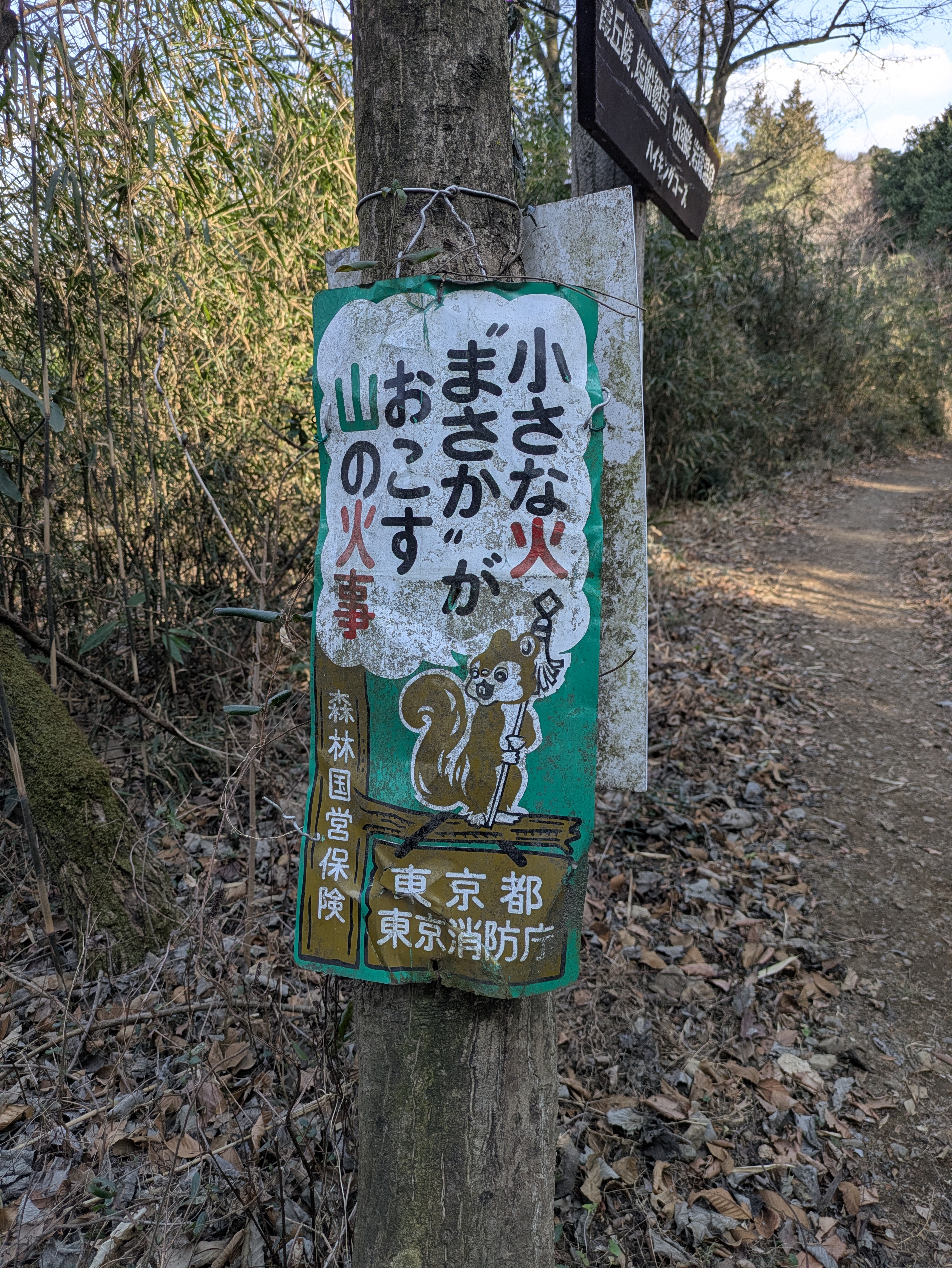 まといリス