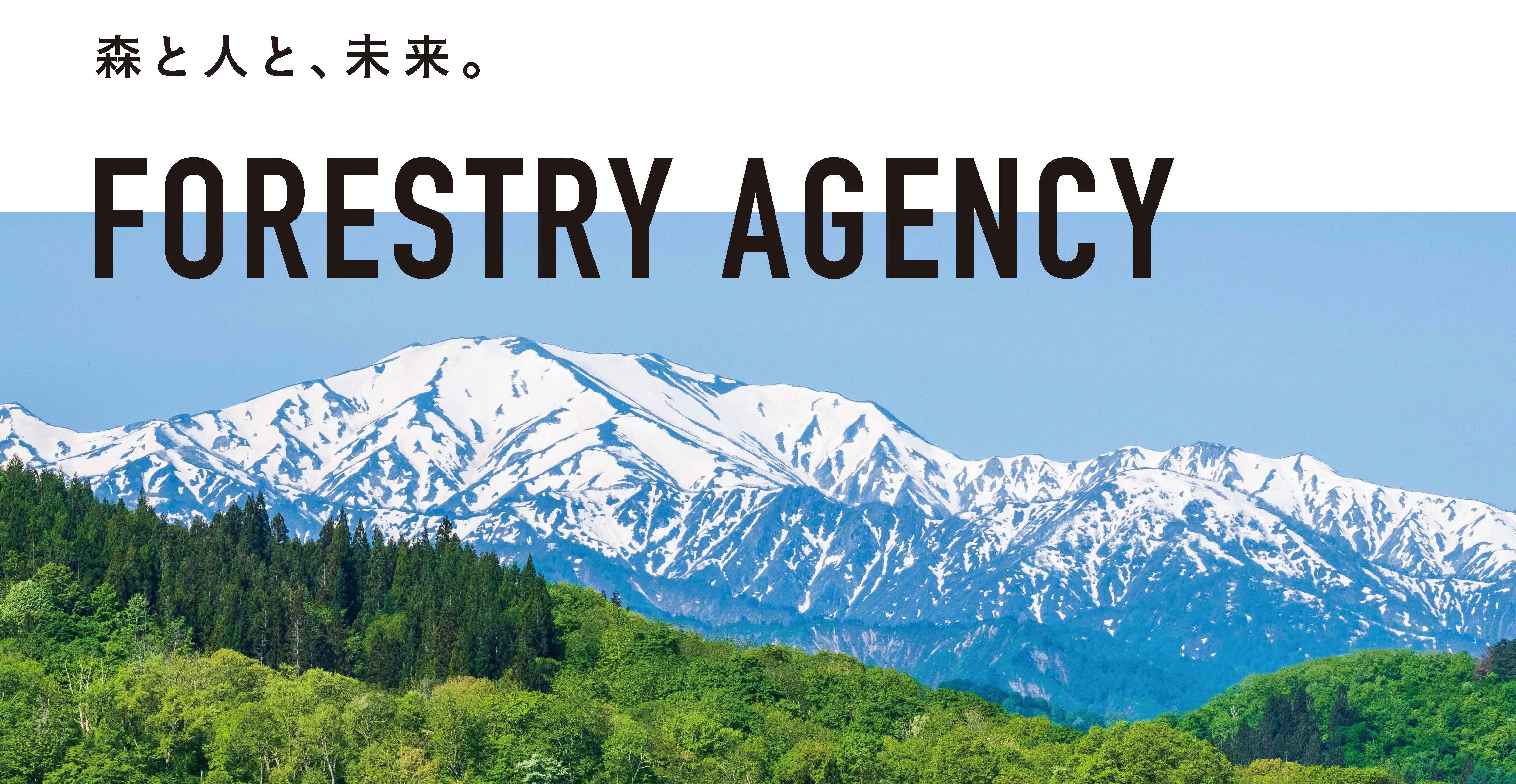 トップページ画像