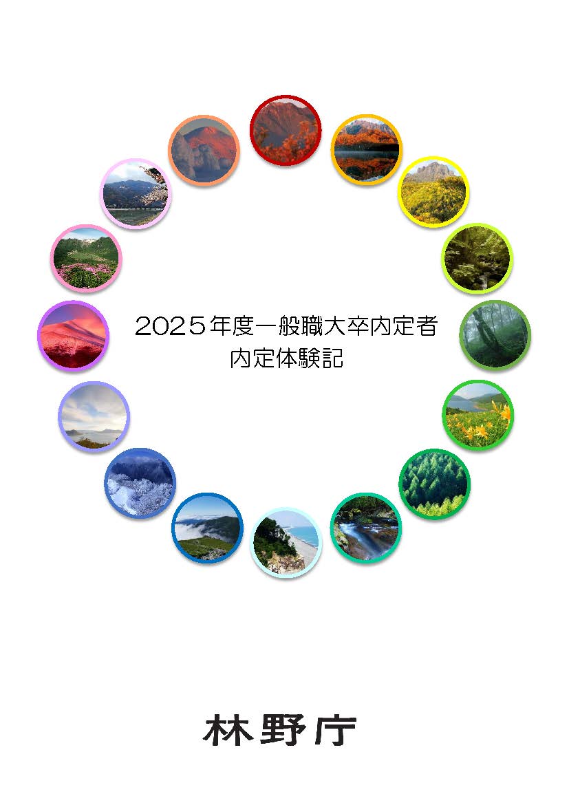 一般職内定体験記表紙