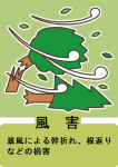 風害_暴風による幹折れ、根返りなどの損害