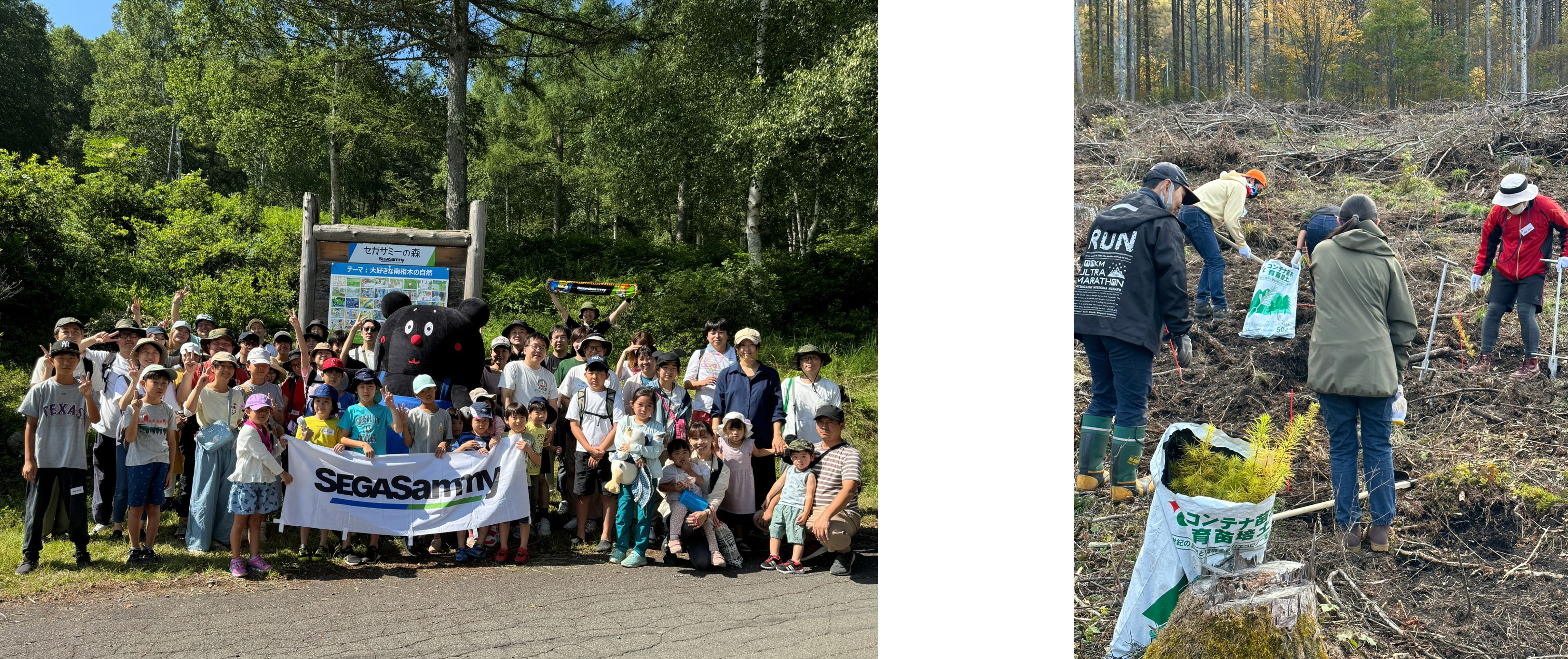 セガサミーホールディングス株式会社