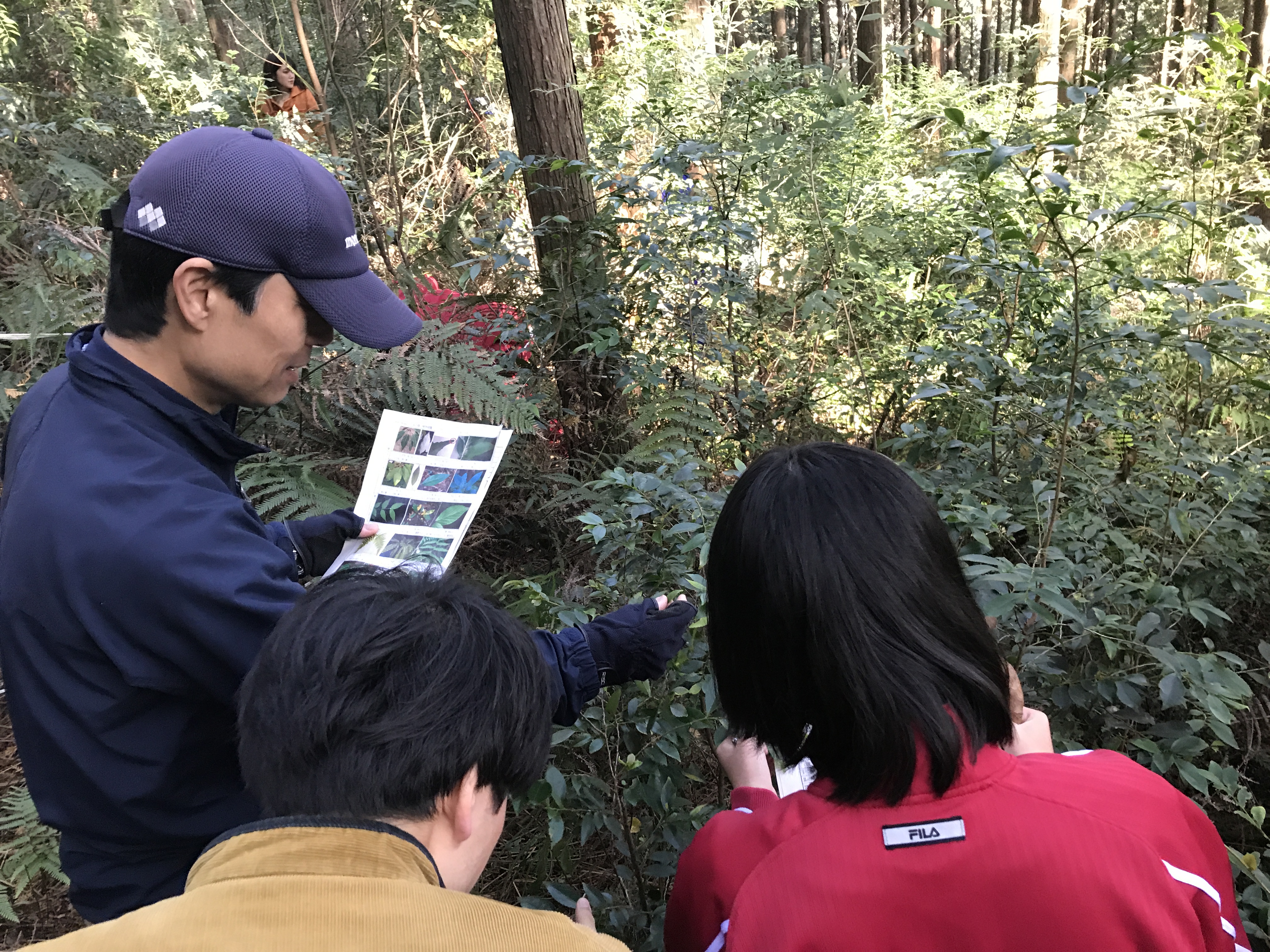 地元高校生が参加する植生調査