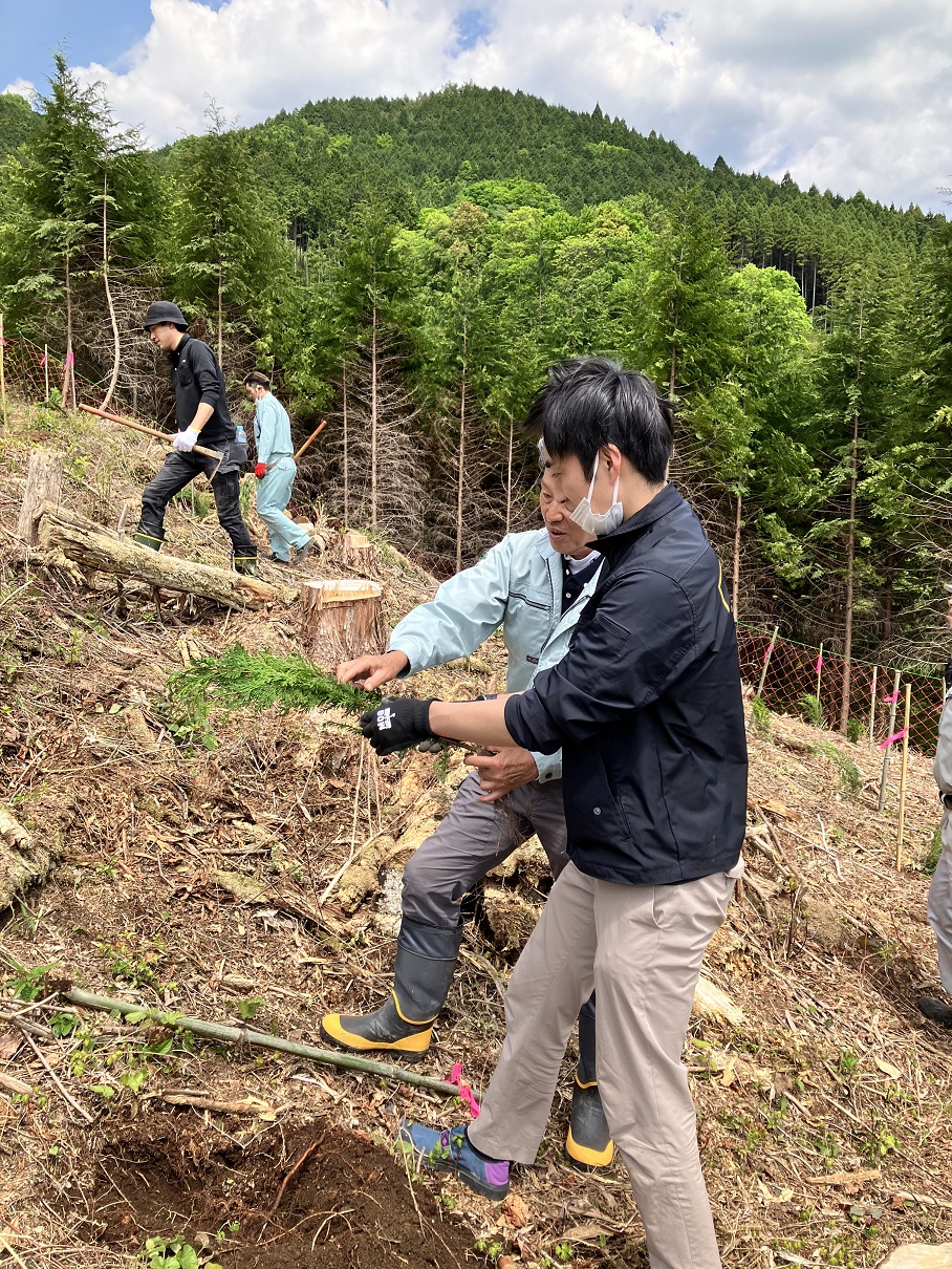 社員と地元建築業者との植林活動