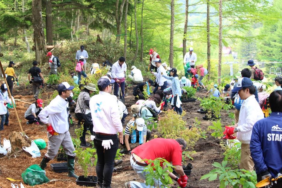 両社合同の植樹活動（日本製紙株式会社社有林）