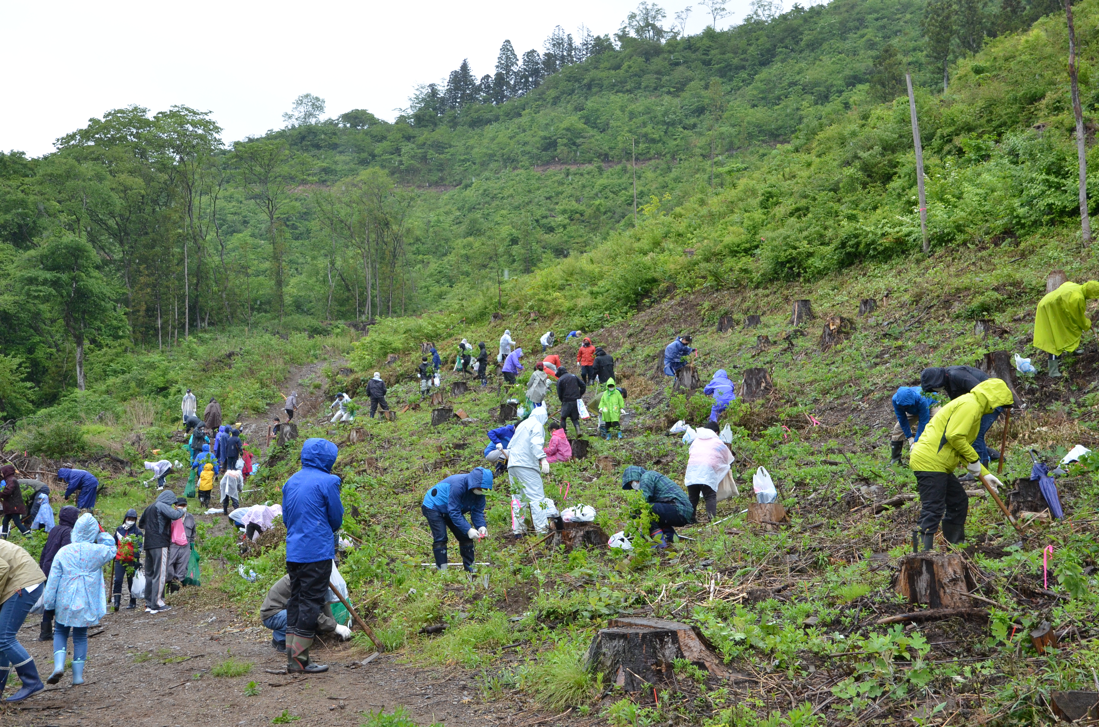 登米市主催の植樹祭（株式会社八葉水産参加）