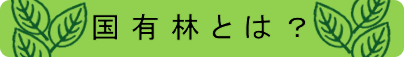 国有林とは？