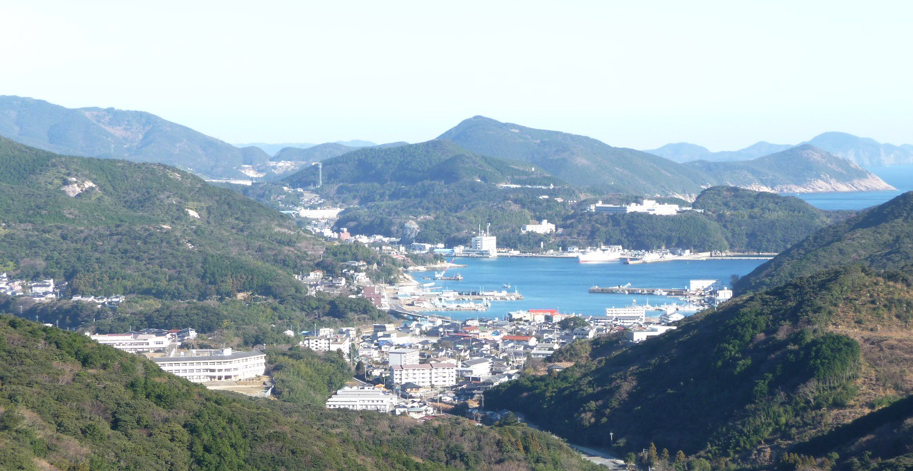 有明山風景林から厳原市街を望む