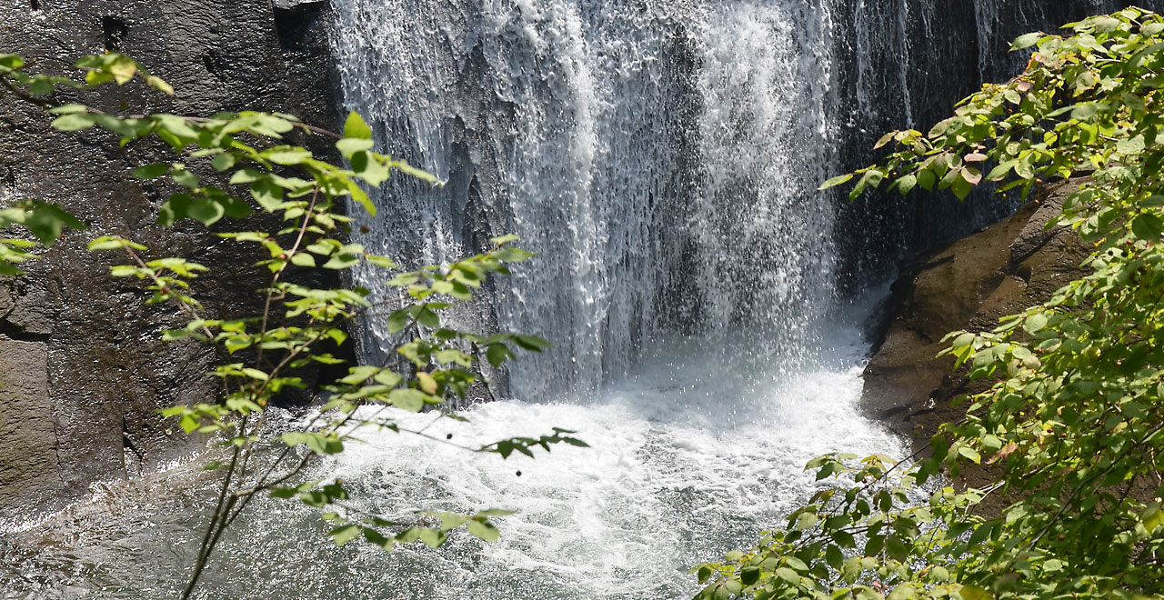 夏の白扇の滝