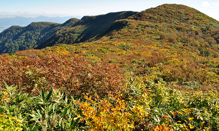 錦秋の葉山