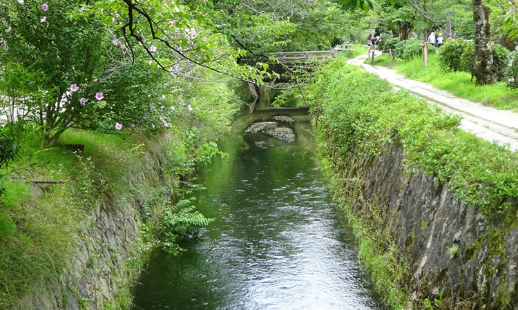 東山哲学の道