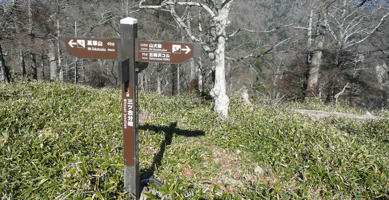 千石平ハイキングコース三ッ合より