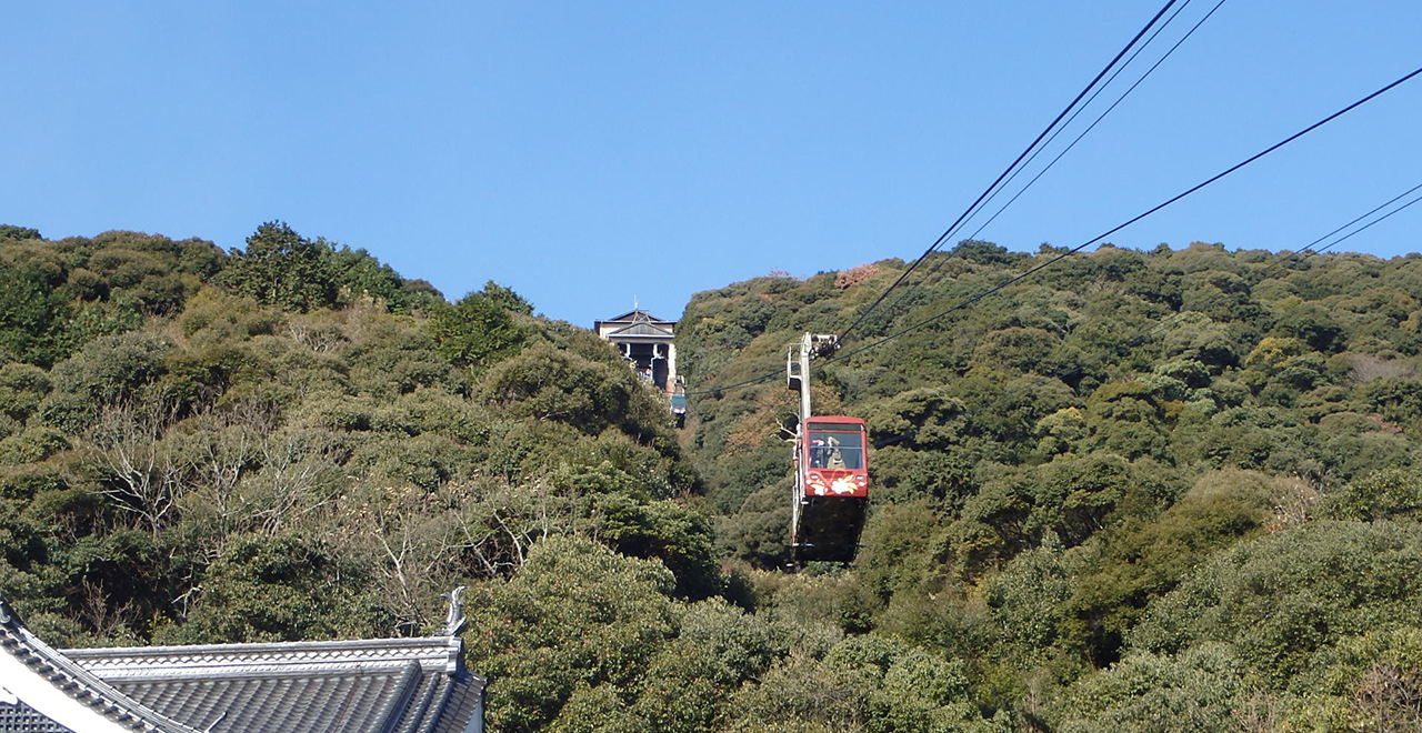 常緑広葉樹の山を空中散歩！