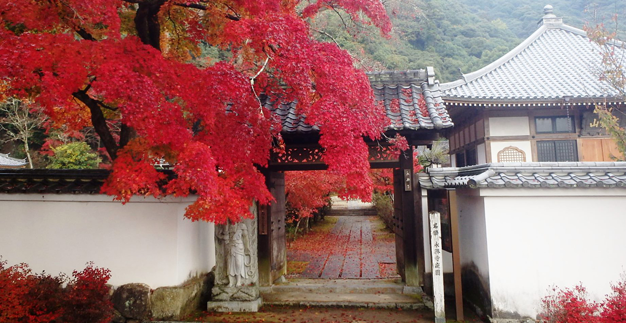 晩秋の紅葉と寺