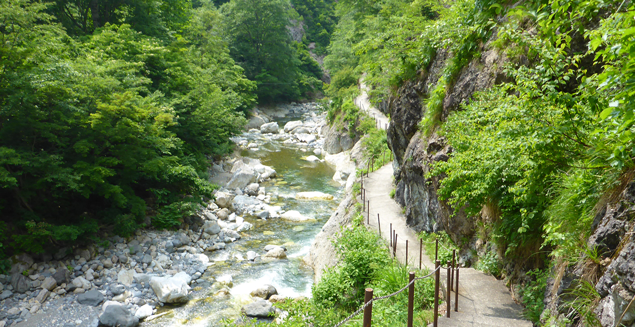 親谷の湯へと続く遊歩道