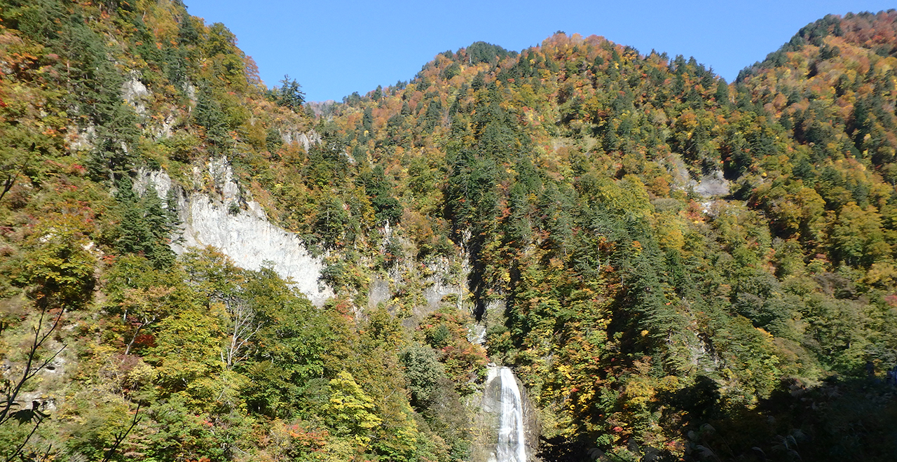 紅葉と瀑布のコントラスト