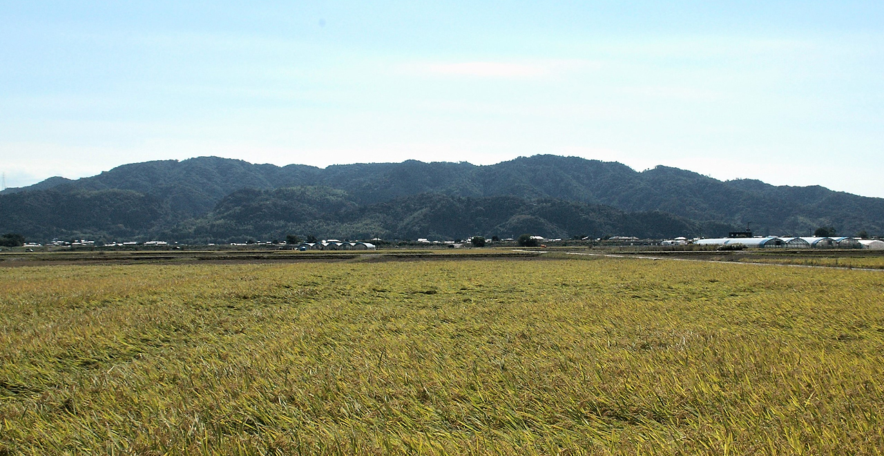 木原山全景