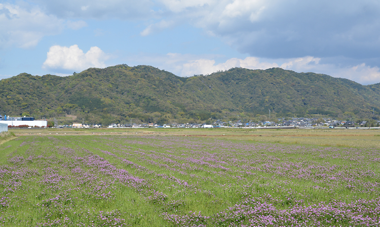 市街地から見る木原山