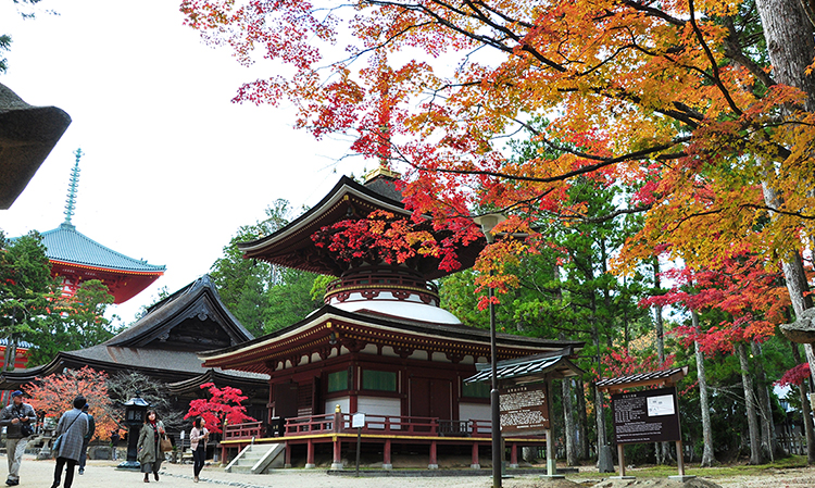 紅葉最盛期の壇上伽藍（東塔）