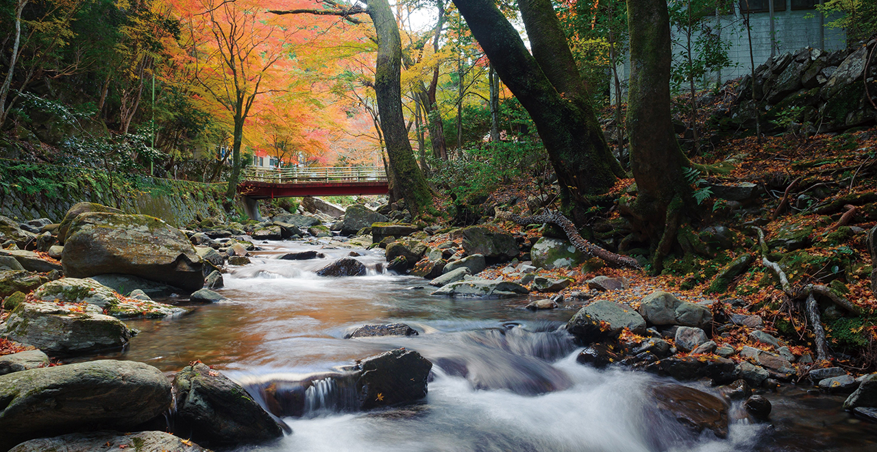 くらがり渓谷の紅葉