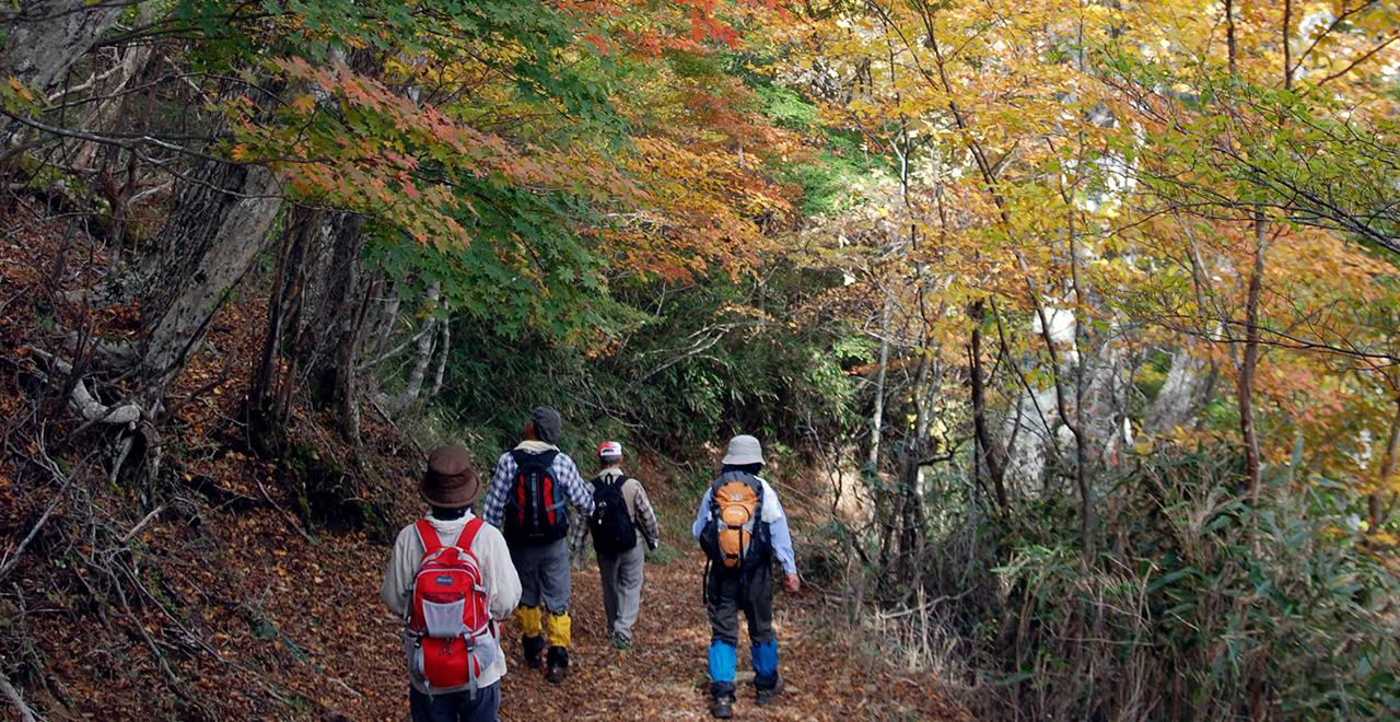 霧立越の紅葉を楽しむ登山者