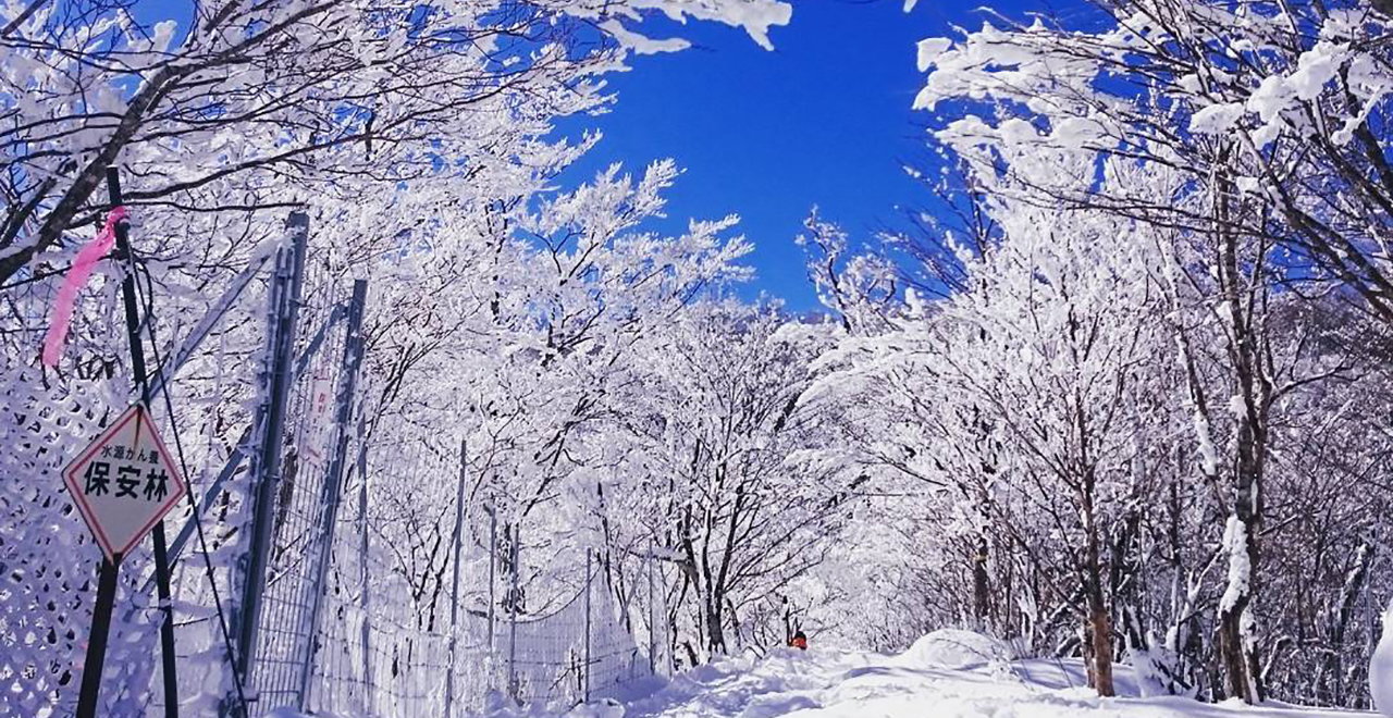 向坂山の青と白のコントラスト