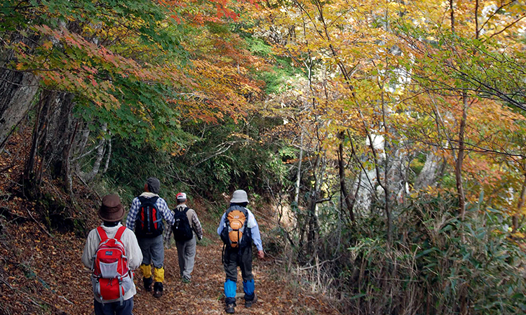 霧立越の紅葉を楽しむ登山者