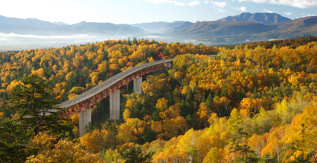 三国峠の紅葉