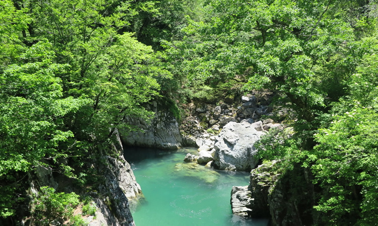 初夏の天狗橋清流