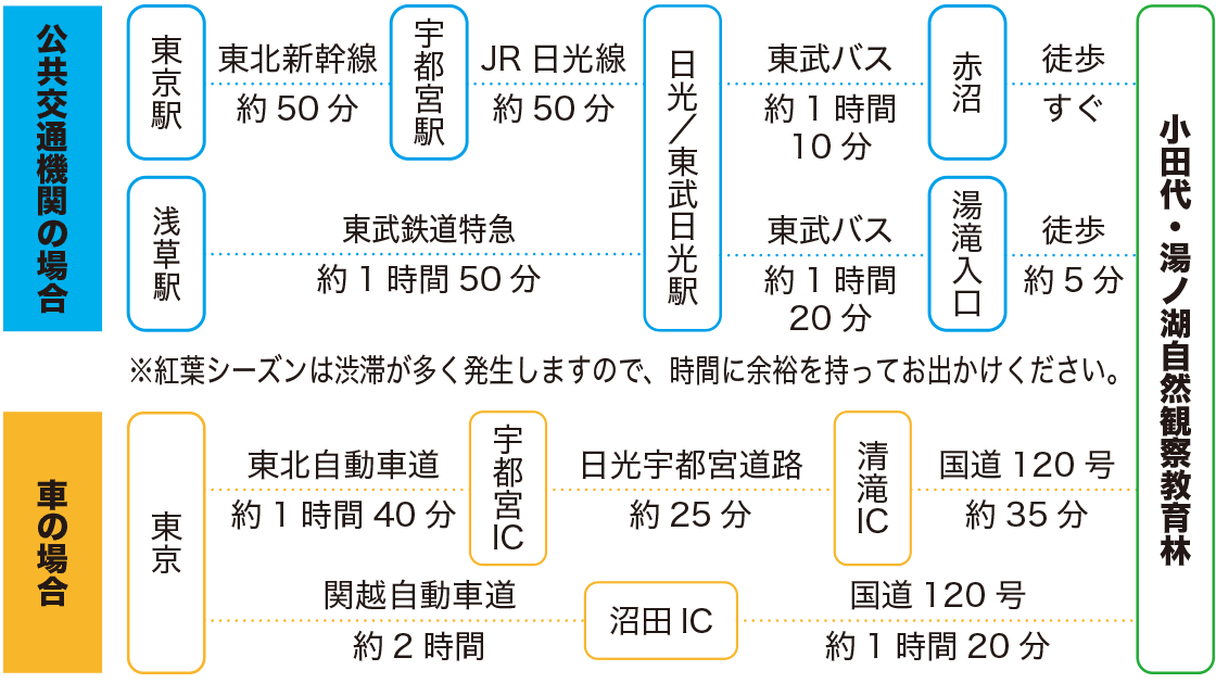 アクセス図