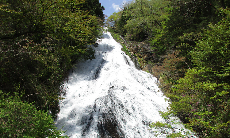 初夏の湯滝