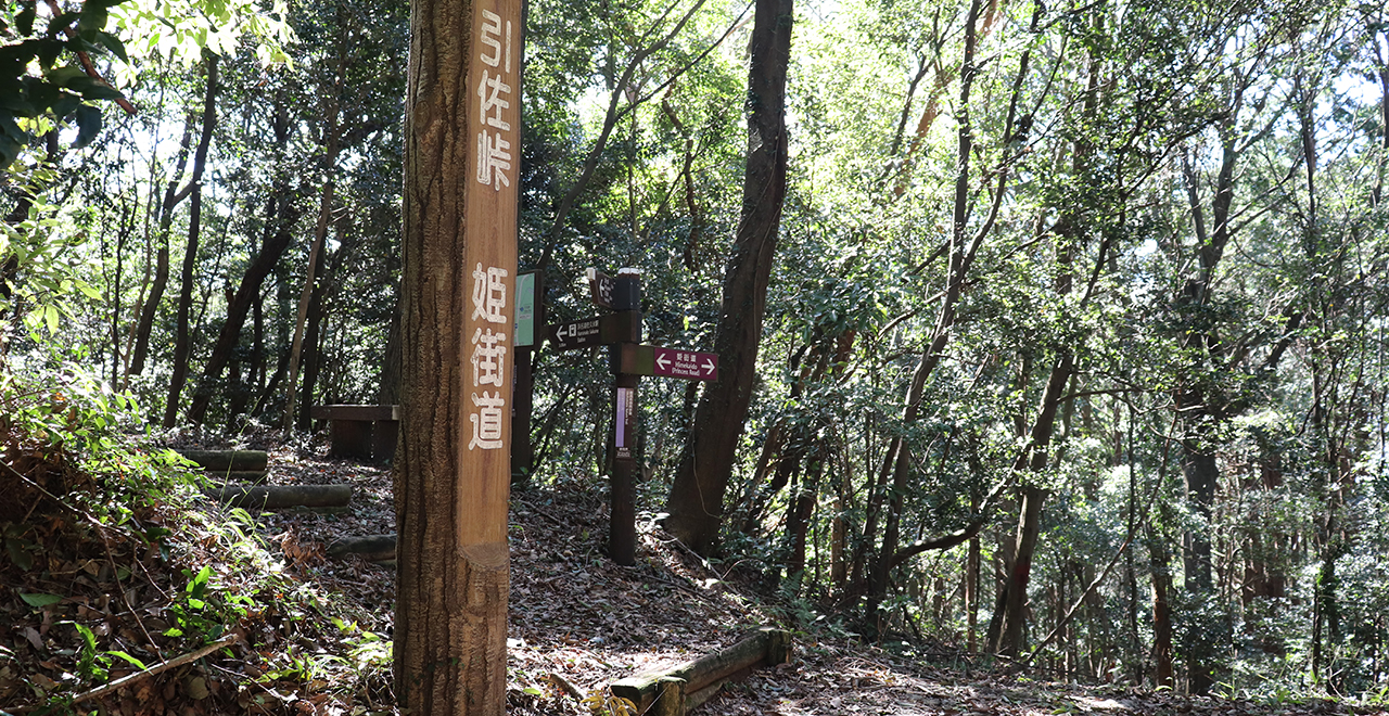 引佐峠