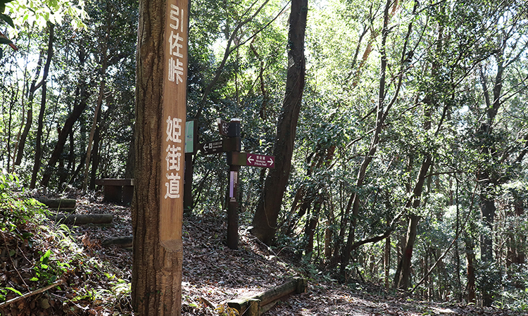 引佐峠