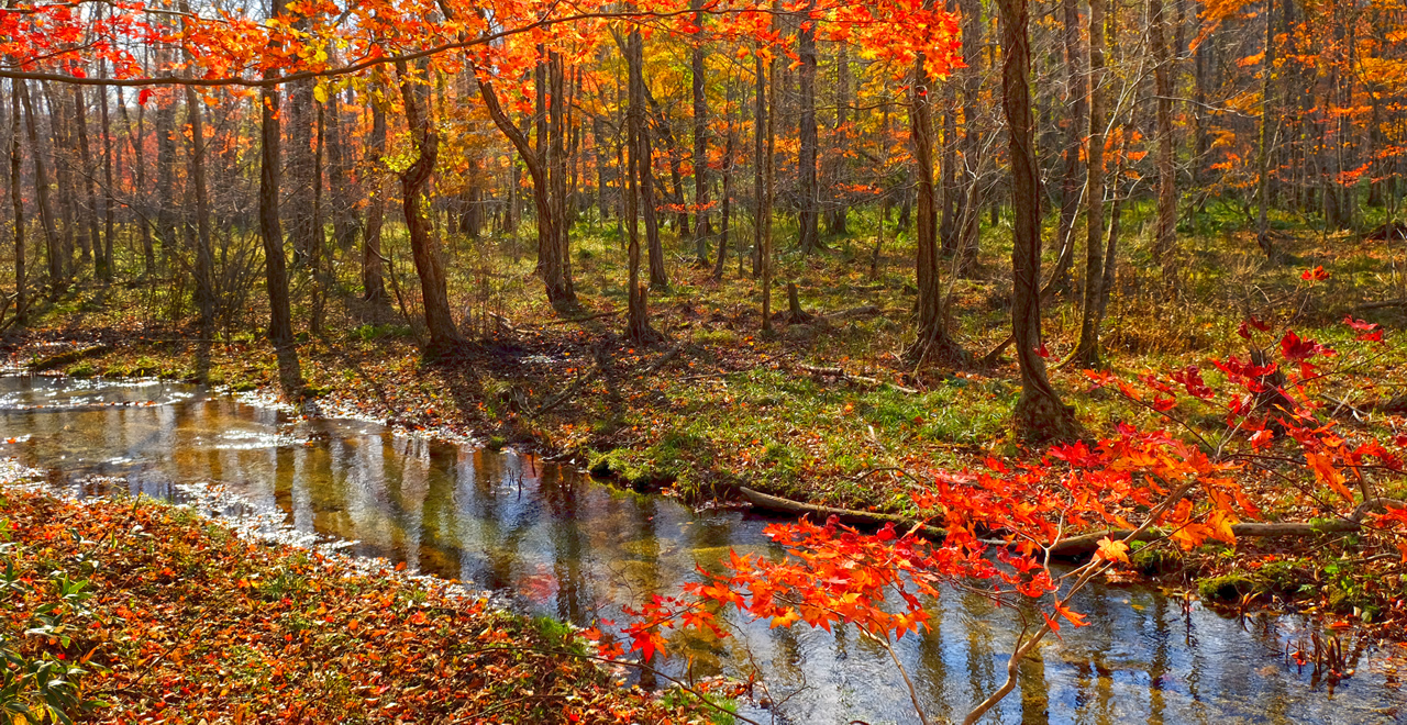 Fall colors of Lake Poroto