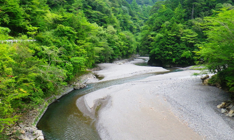 県道から付近の眺め