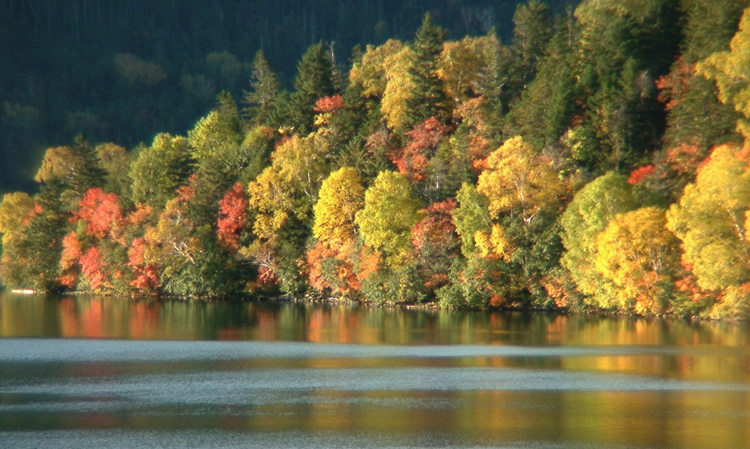 紅葉が鮮やかな然別湖周辺