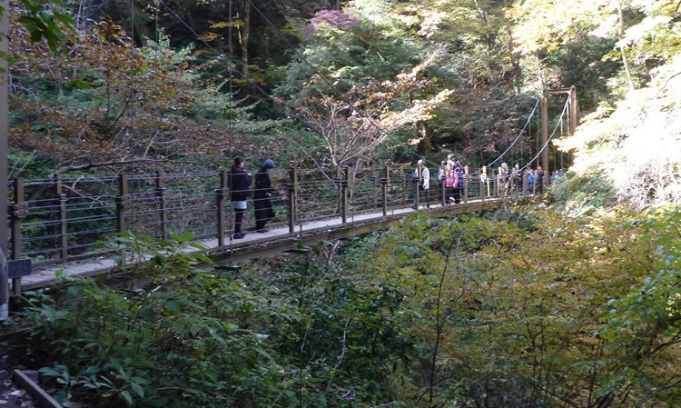 高尾山4号路遊歩道、吊り橋