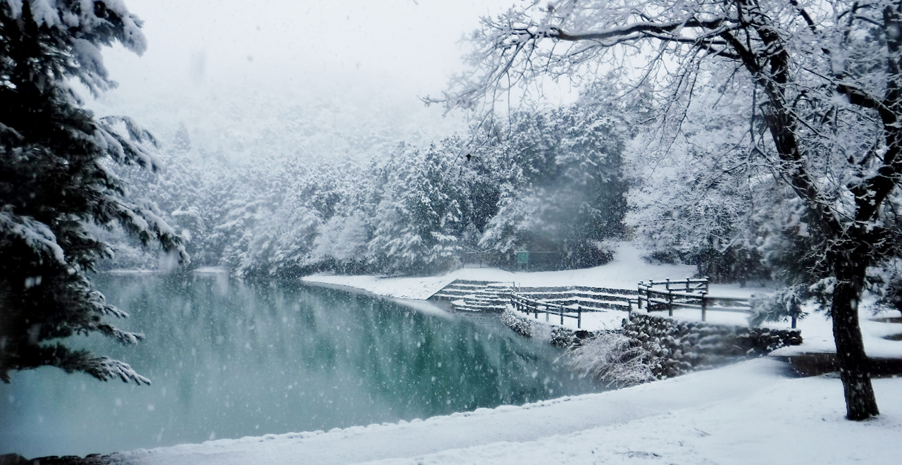 雪化粧をしたため池