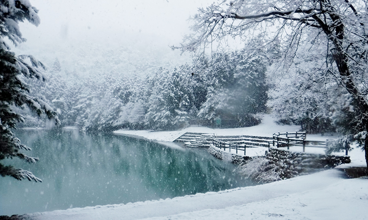 雪化粧をしたため池