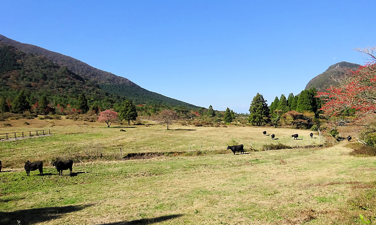 秋の田代原湿原