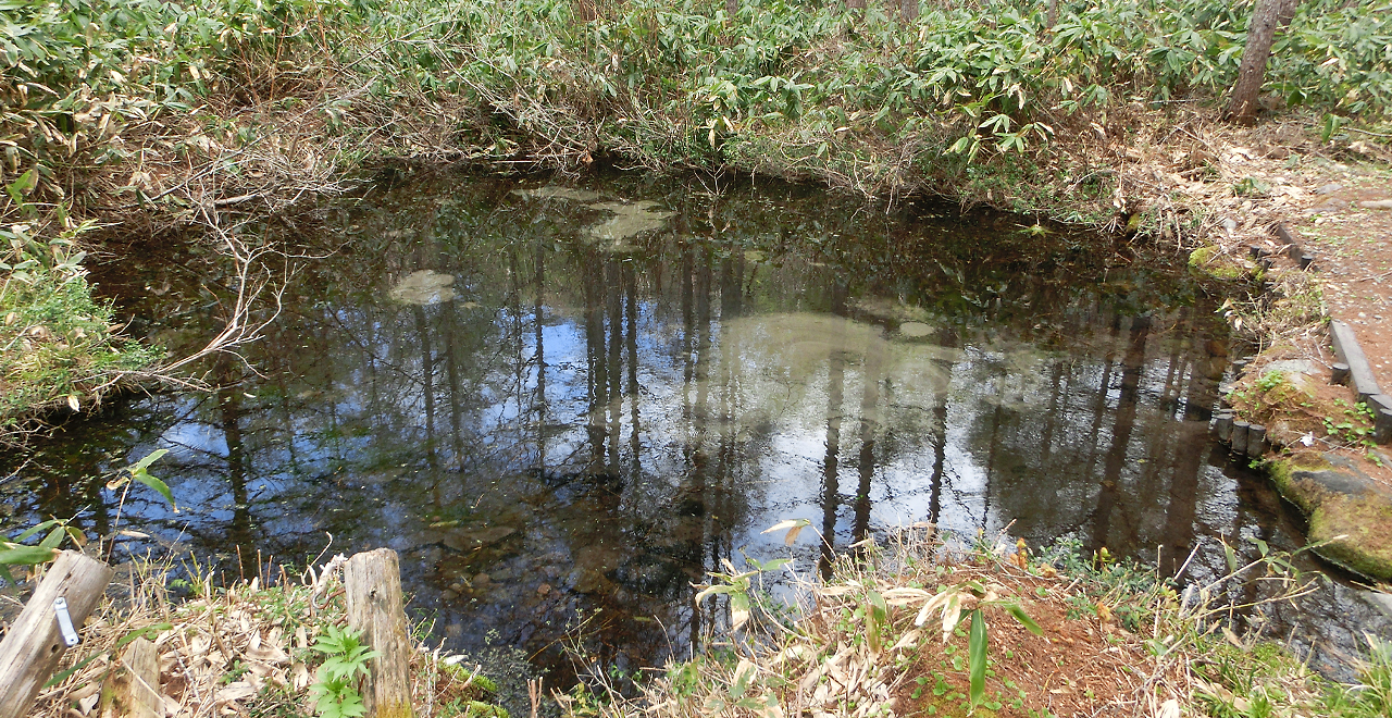 湧水でできた泉（百貫清水）