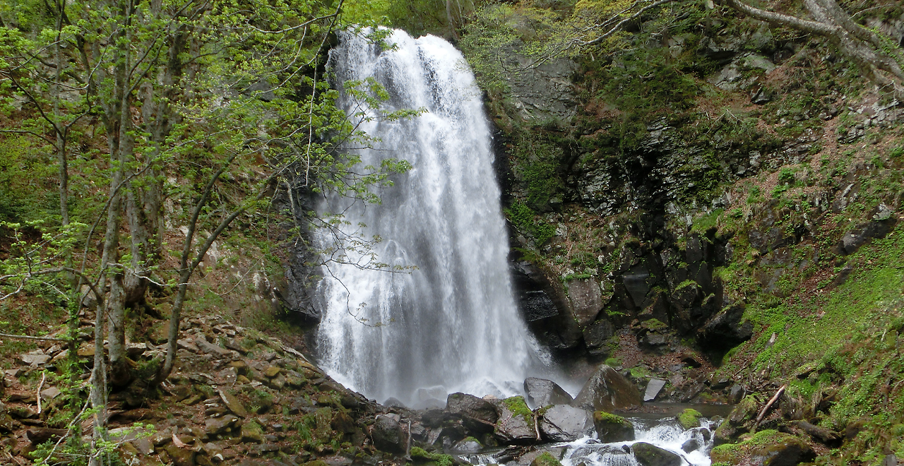 名瀑  小野川不動滝