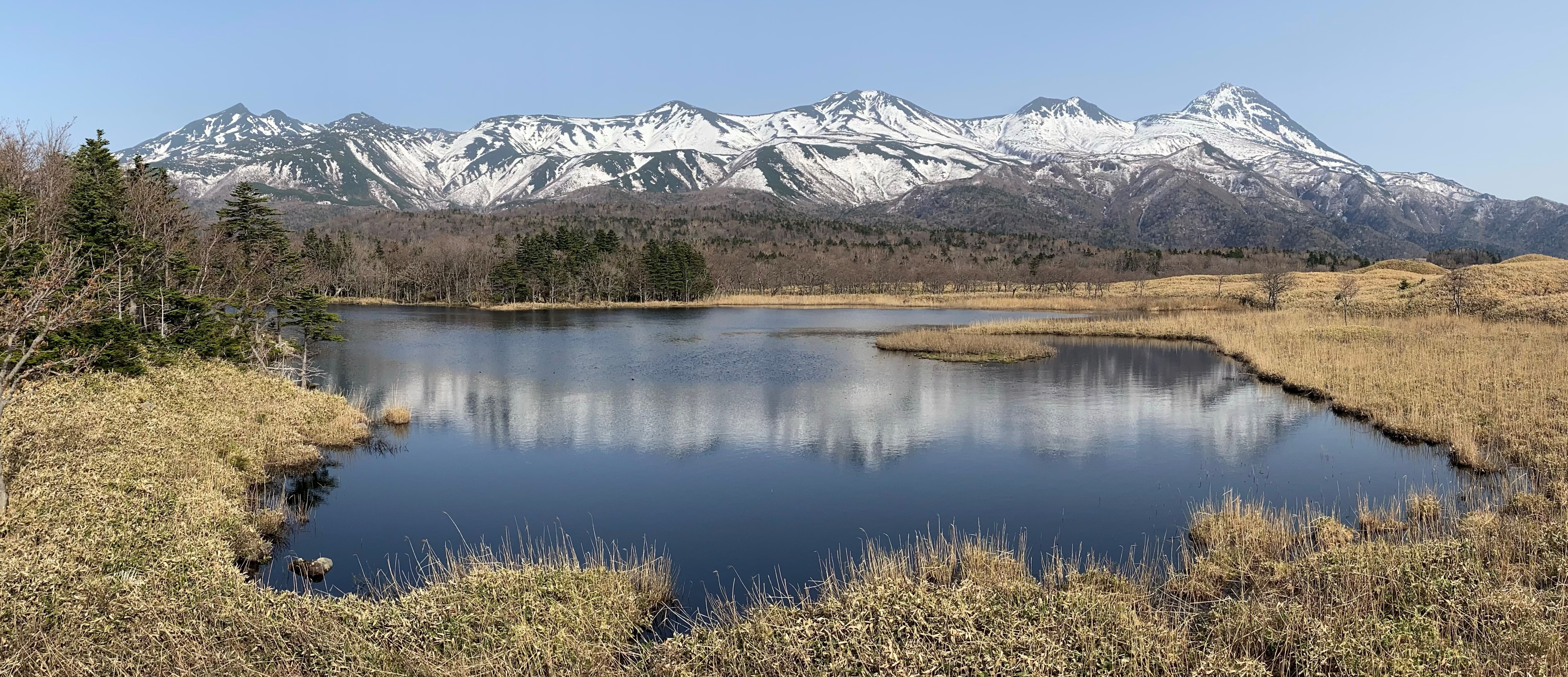 知床森林生態系保護地域（北海道森林管理局）