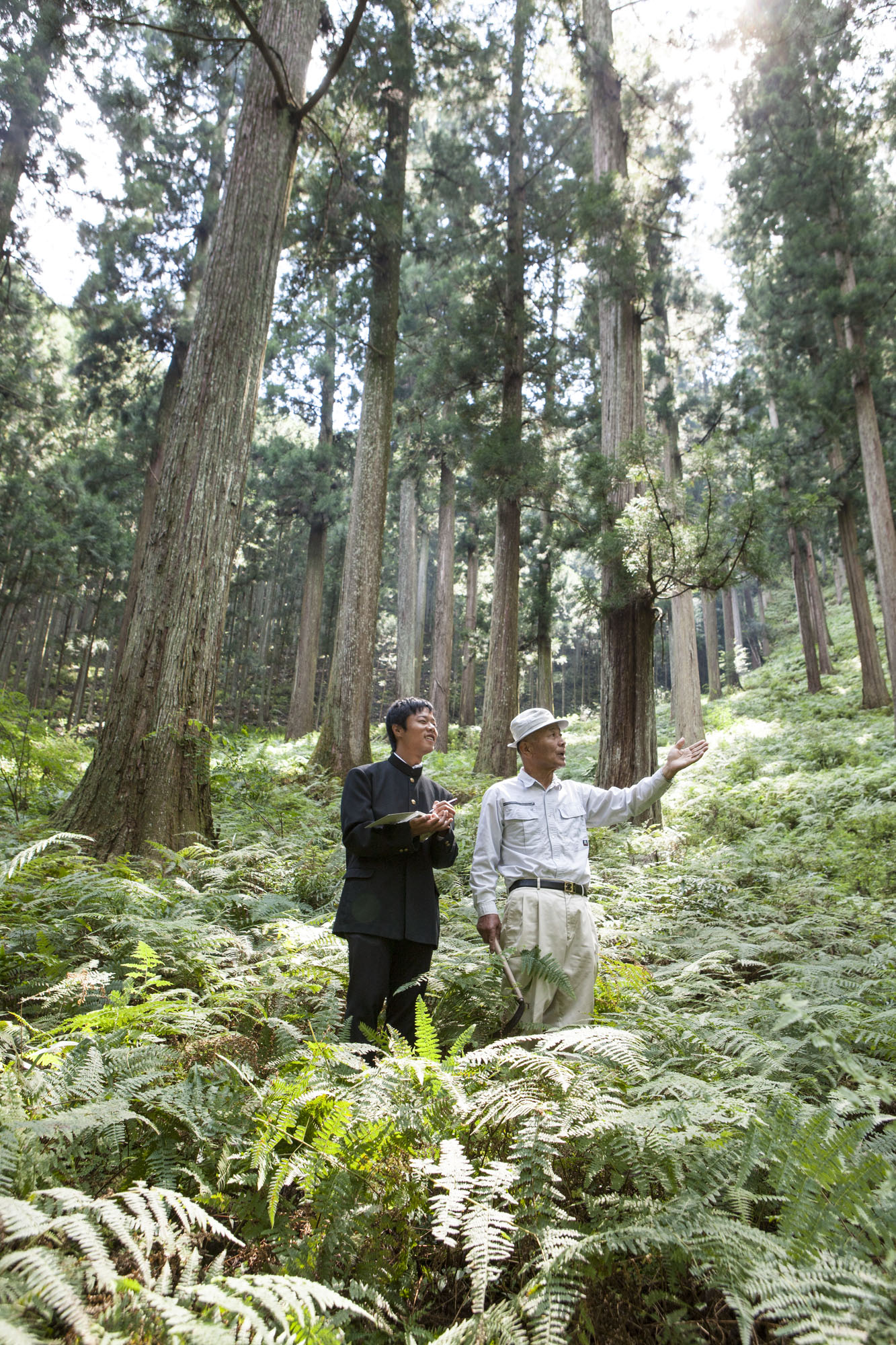 名人と高校生（森林）