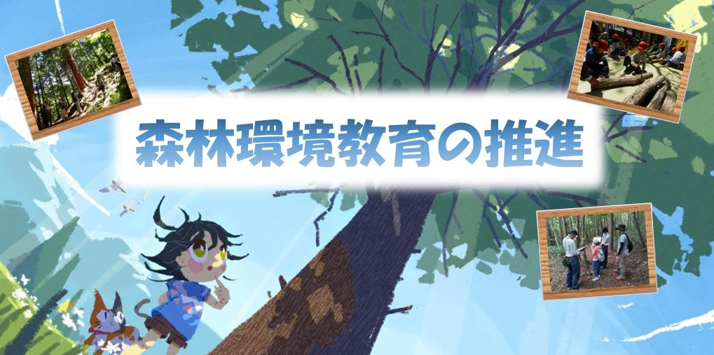 森林環境教育の推進