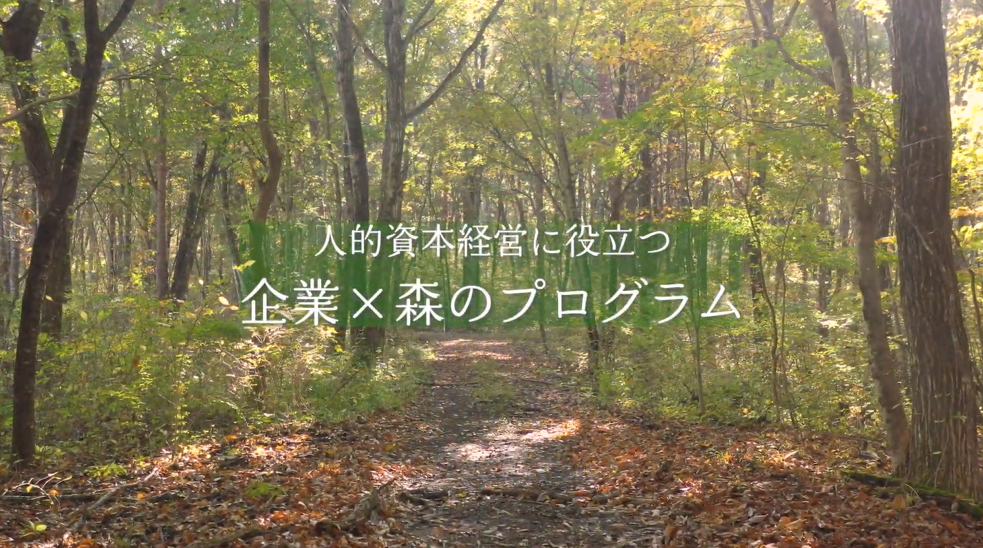 企業&times;森のプログラム動画リスト表紙
