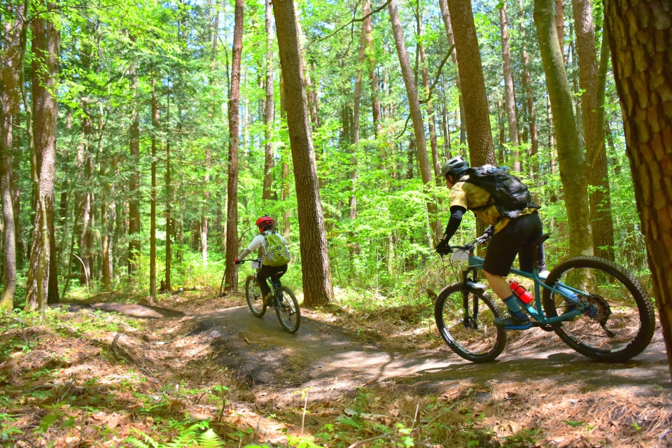 森業ポータルトップ画像「森林サービス産業(長野県伊那市地域)」