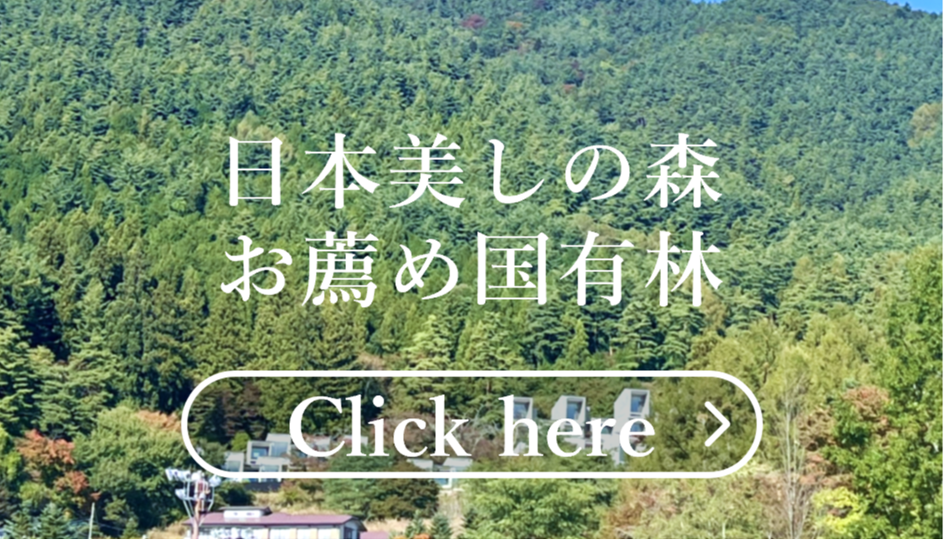 日本美しの森お薦め国有林はこちらをクリック